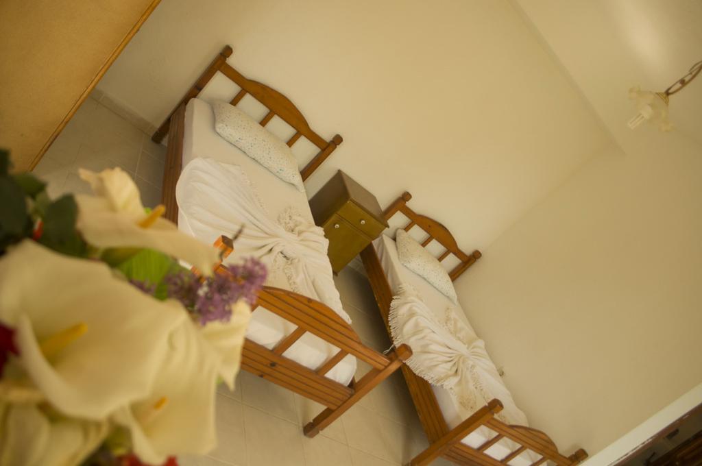 Alfa Apartments Bodrum Ngoại thất bức ảnh