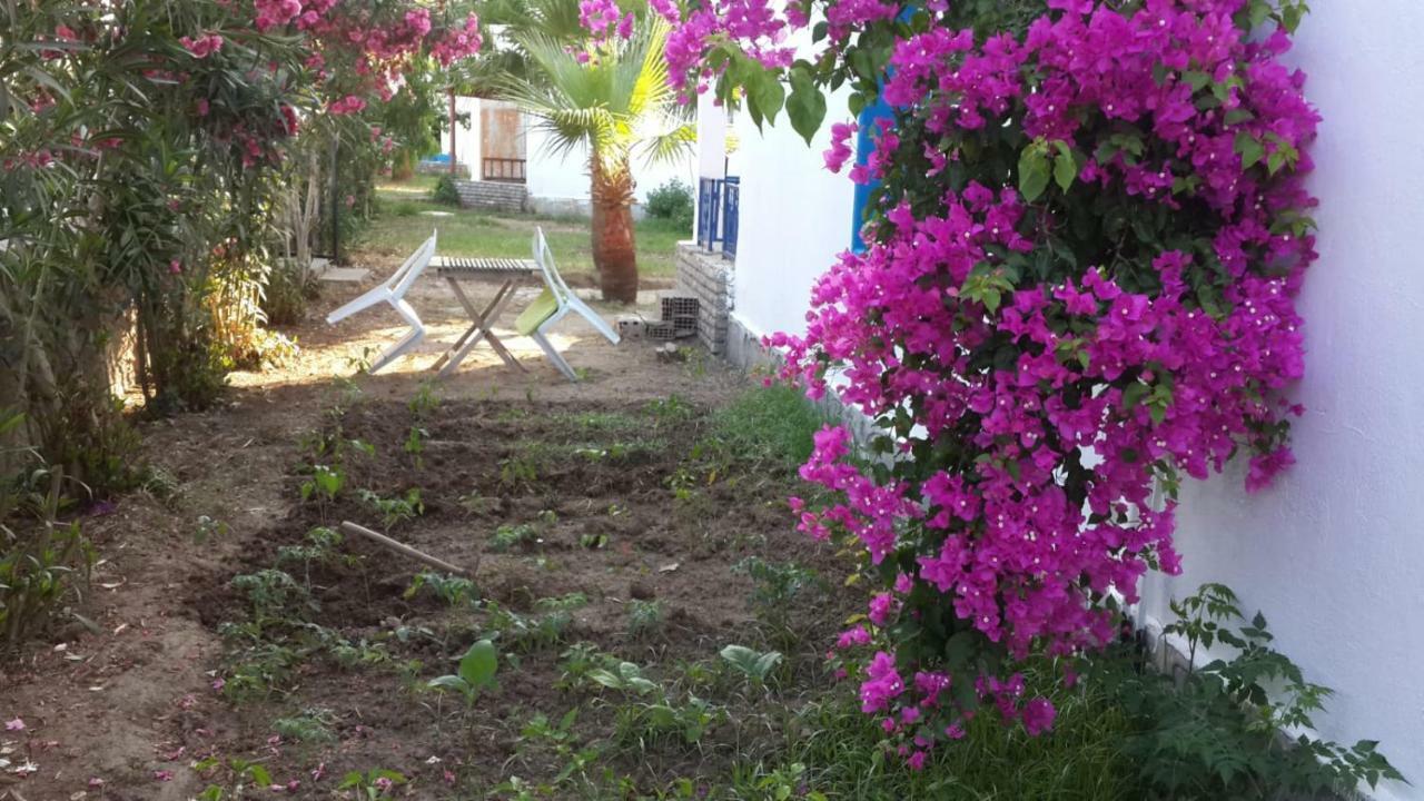 Alfa Apartments Bodrum Ngoại thất bức ảnh