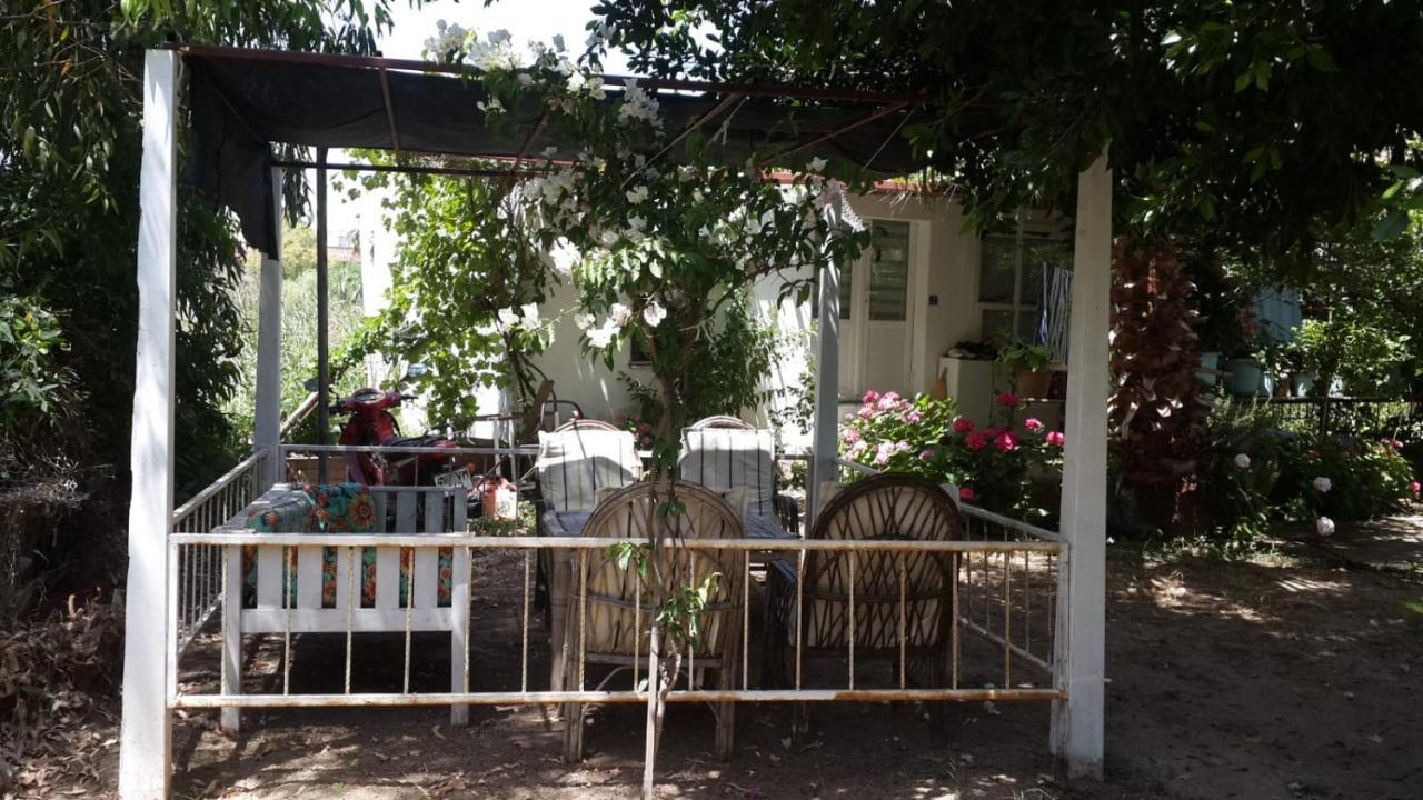 Alfa Apartments Bodrum Ngoại thất bức ảnh
