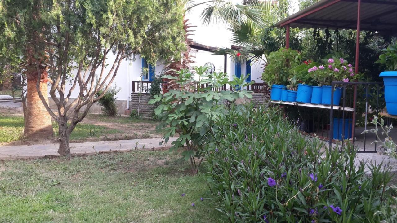 Alfa Apartments Bodrum Ngoại thất bức ảnh